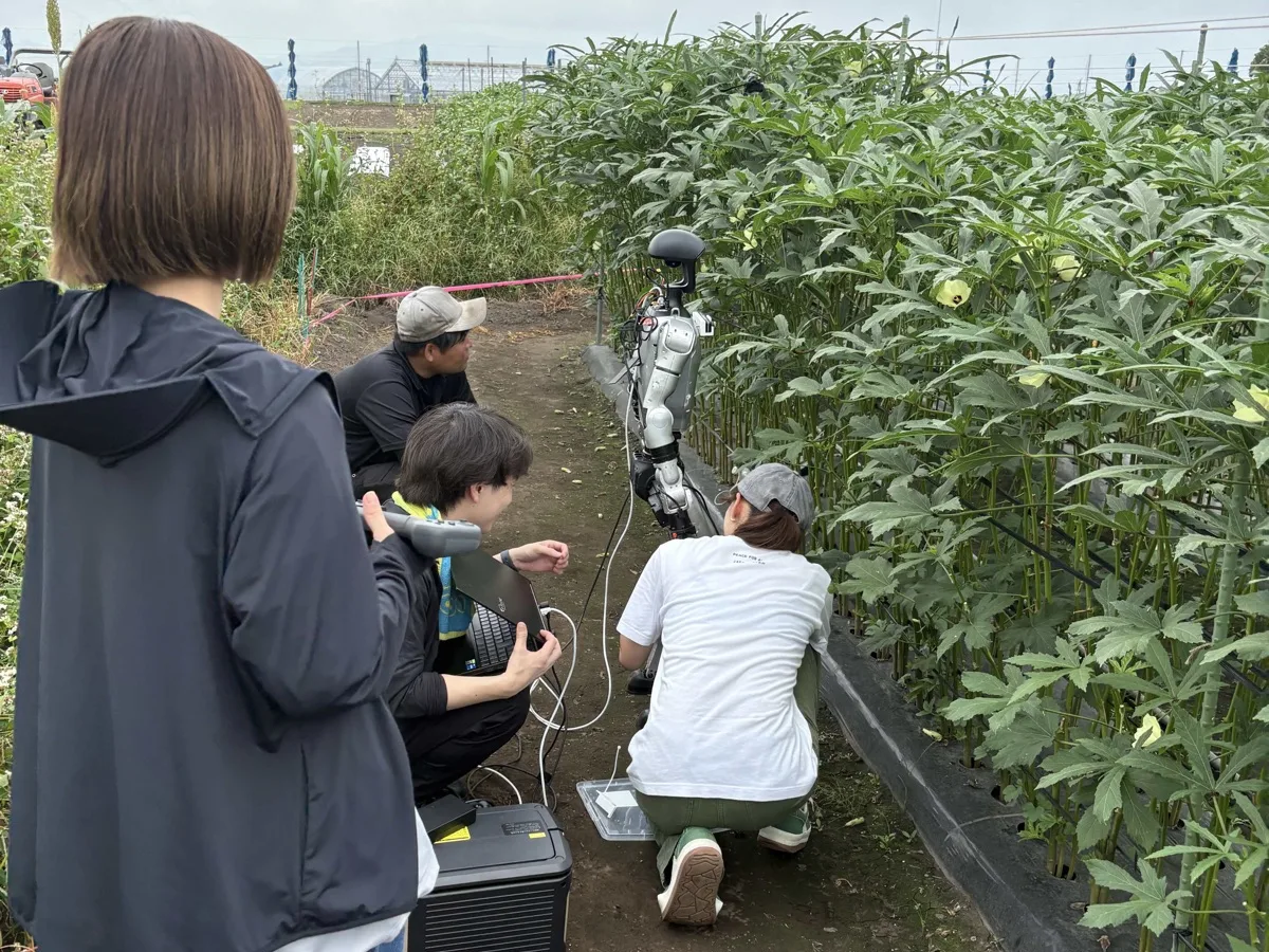 Orboh engineers and a humanoid robot in an okra field